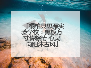 桐柏县思源实验学校：黑板方寸传粽情 心灵向阳沐古风