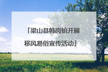 梁山县韩岗镇开展移风易俗宣传活动