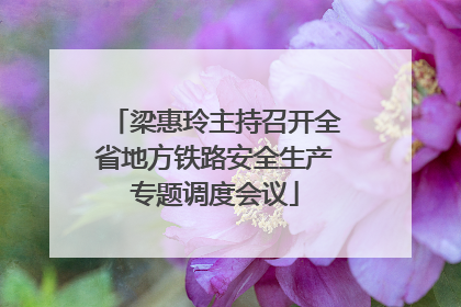 梁惠玲主持召开全省地方铁路安全生产专题调度会议