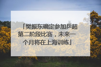 樊振东确定参加乒超第二阶段比赛，未来一个月将在上海训练
