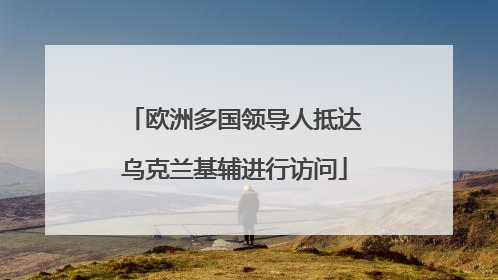 欧洲多国领导人抵达乌克兰基辅进行访问