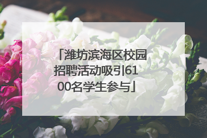 潍坊滨海区校园招聘活动吸引6100名学生参与
