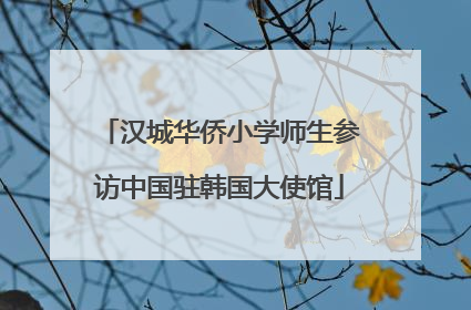 汉城华侨小学师生参访中国驻韩国大使馆