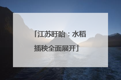 江苏盱眙：水稻插秧全面展开