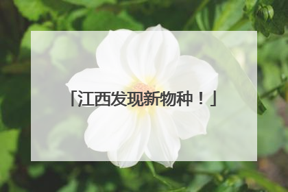 江西发现新物种！