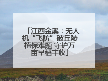 江西金溪：无人机“飞防”破丘陵植保难题 守护万亩早稻丰收
