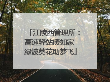 江陵西管理所：高速驿站暖如家 绿波葵花助梦飞