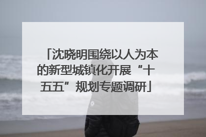 沈晓明围绕以人为本的新型城镇化开展“十五五”规划专题调研
