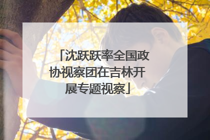 沈跃跃率全国政协视察团在吉林开展专题视察