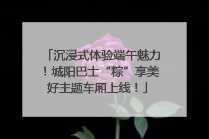 沉浸式体验端午魅力！城阳巴士“粽”享美好主题车厢上线！