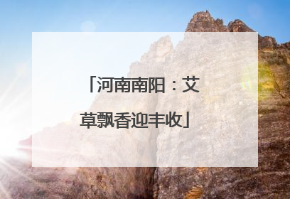河南南阳：艾草飘香迎丰收