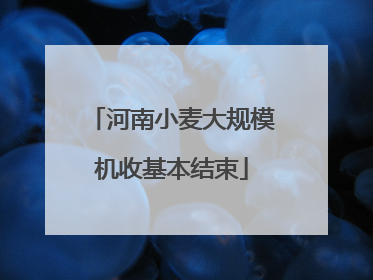 河南小麦大规模机收基本结束