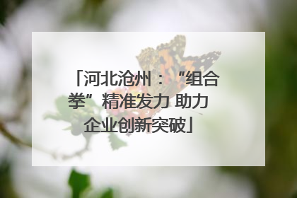 河北沧州：“组合拳”精准发力 助力企业创新突破