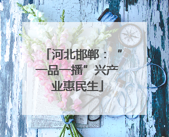 河北邯郸：“一品一播”兴产业惠民生