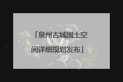 泉州古城国土空间详细规划发布