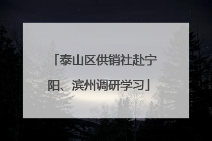 泰山区供销社赴宁阳、滨州调研学习