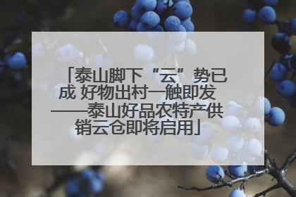 泰山脚下“云”势已成 好物出村一触即发——泰山好品农特产供销云仓即将启用