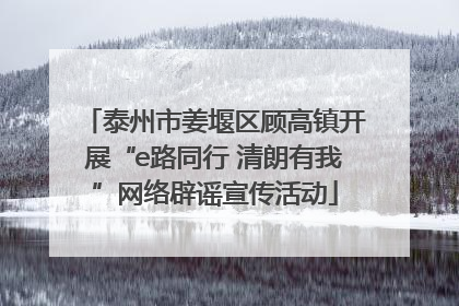 泰州市姜堰区顾高镇开展“e路同行 清朗有我”网络辟谣宣传活动