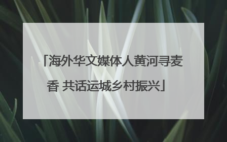 海外华文媒体人黄河寻麦香 共话运城乡村振兴