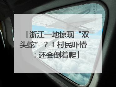 浙江一地惊现“双头蛇”？！村民吓懵：还会倒着爬
