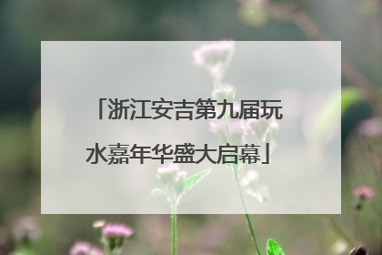 浙江安吉第九届玩水嘉年华盛大启幕