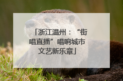 浙江温州：“街唱直播”唱响城市文艺新乐章
