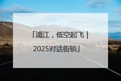 浦江，低空起飞｜2025对话街镇
