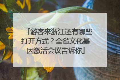 游客来浙江还有哪些打开方式？全省文化基因激活会议告诉你