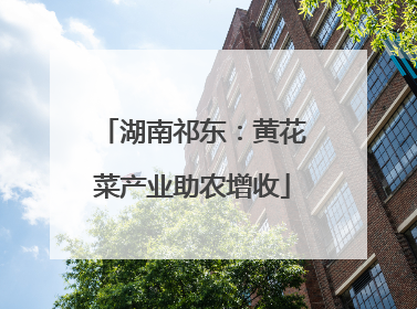 湖南祁东：黄花菜产业助农增收