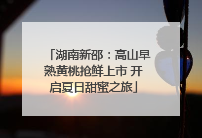 湖南新邵：高山早熟黄桃抢鲜上市 开启夏日甜蜜之旅