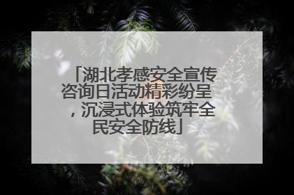 湖北孝感安全宣传咨询日活动精彩纷呈，沉浸式体验筑牢全民安全防线