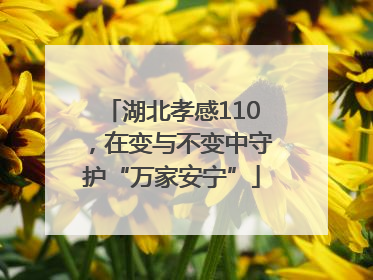 湖北孝感110，在变与不变中守护“万家安宁”