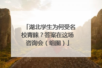 湖北学生为何受名校青睐？答案在这场咨询会（组图）