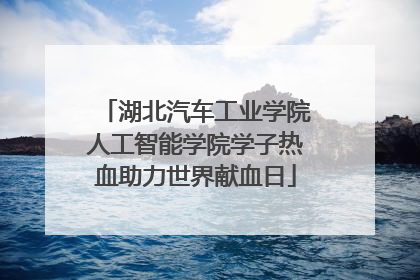 湖北汽车工业学院人工智能学院学子热血助力世界献血日