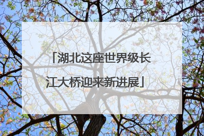 湖北这座世界级长江大桥迎来新进展