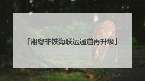 湘粤非铁海联运通道再升级