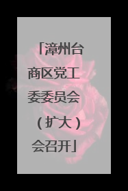 漳州台商区党工委委员会（扩大）会召开