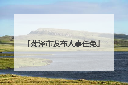 菏泽市发布人事任免