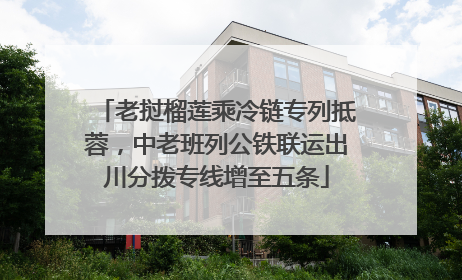 老挝榴莲乘冷链专列抵蓉，中老班列公铁联运出川分拨专线增至五条