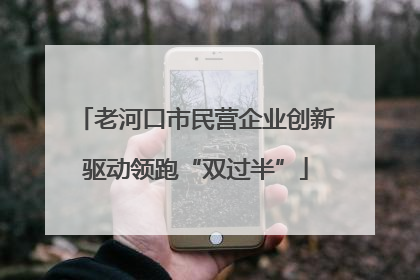 老河口市民营企业创新驱动领跑“双过半”