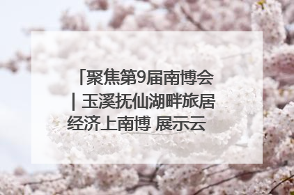 聚焦第9届南博会｜玉溪抚仙湖畔旅居经济上南博 展示云南生活新样本