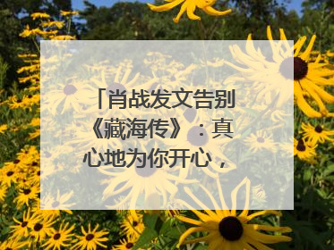肖战发文告别《藏海传》：真心地为你开心，有这么多人懂你，导演回应“是否有第二季”