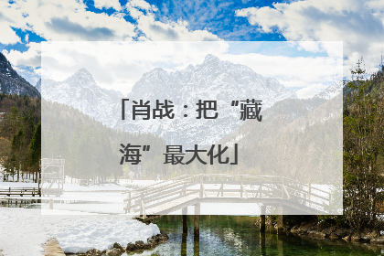 肖战：把“藏海”最大化