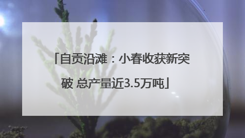 自贡沿滩：小春收获新突破 总产量近3.5万吨