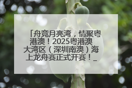 舟竞月亮湾，情聚粤港澳！2025粤港澳大湾区（深圳南澳）海上龙舟赛正式开赛！_深圳新闻网