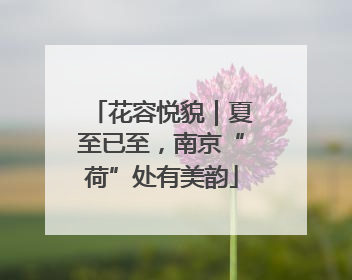花容悦貌｜夏至已至，南京“荷”处有美韵