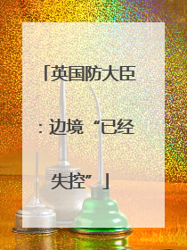 英国防大臣：边境“已经失控”