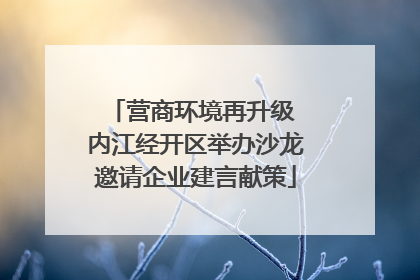 营商环境再升级 内江经开区举办沙龙邀请企业建言献策