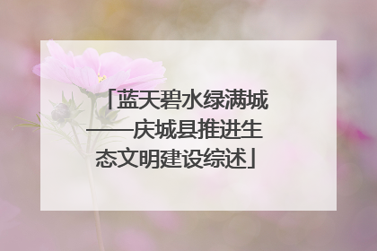 蓝天碧水绿满城——庆城县推进生态文明建设综述
