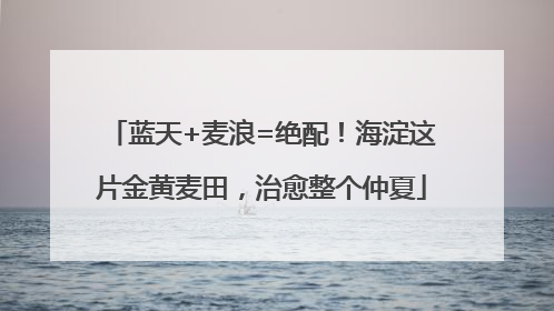 蓝天+麦浪=绝配！海淀这片金黄麦田，治愈整个仲夏